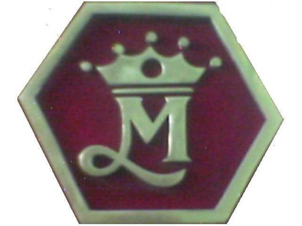 Oyo 4956 Hotel Maharaja Palace Kanpur Buitenkant foto